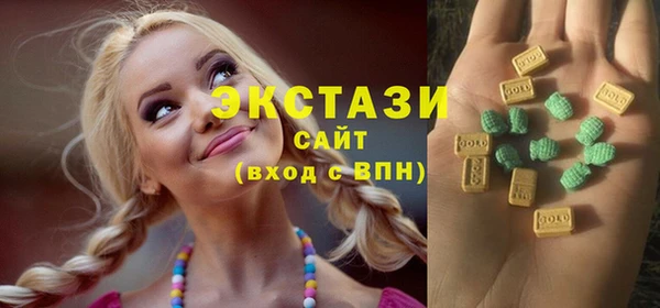 амф Новозыбков