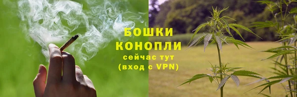 амф Новозыбков