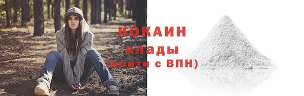 амф Новозыбков
