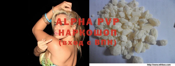 амф Новозыбков