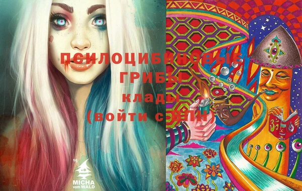амф Новозыбков