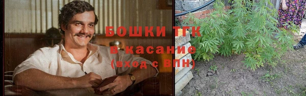 мескалин Новодвинск