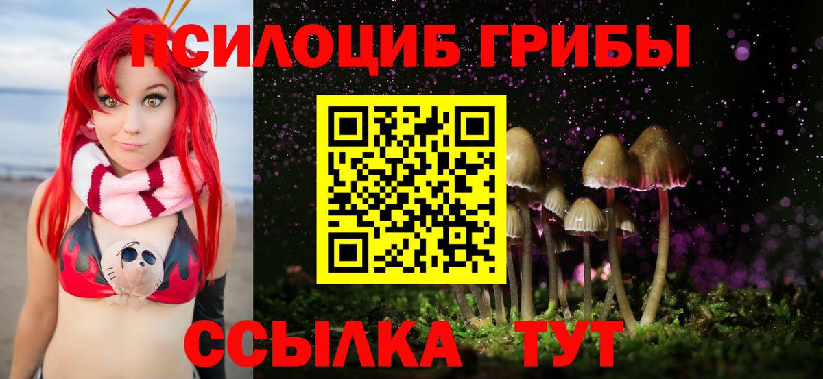 Галлюциногенные грибы GOLDEN TEACHER  Псилоцибиновые грибы мухоморы  Кудымкар  Вход с VPN 