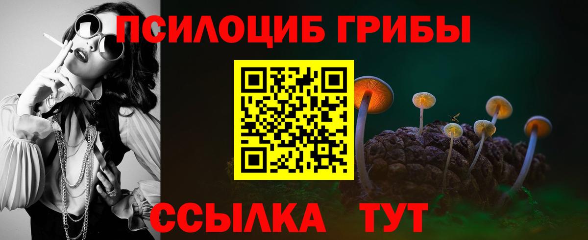 Галлюциногенные грибы мицелий Кудымкар