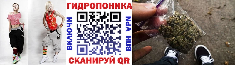 Канабис семена  kraken маркетплейс  Кудымкар  где можно купить наркотик 